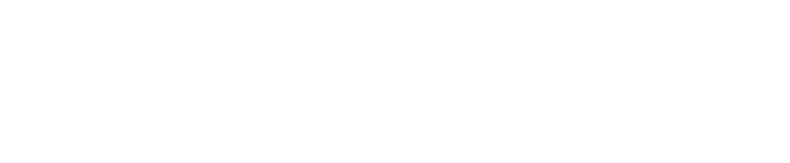 VeloDB
